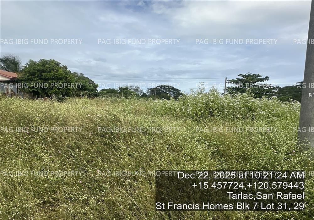 Image for Lot 29, 31 Blk. 07 St. Francis Homes San Rafael, Tarlac City, Tarlac, 2300