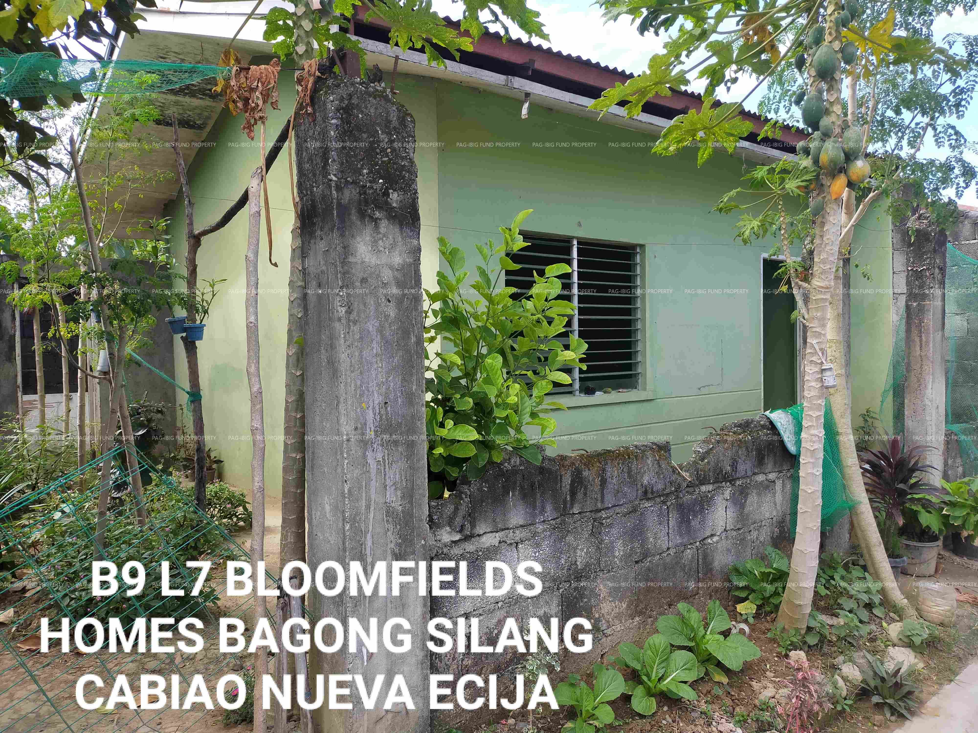 Image for Lot 7 Blk. 9 Bloomfields Homes Bagong Silang, Cabiao, Nueva Ecija, 3107