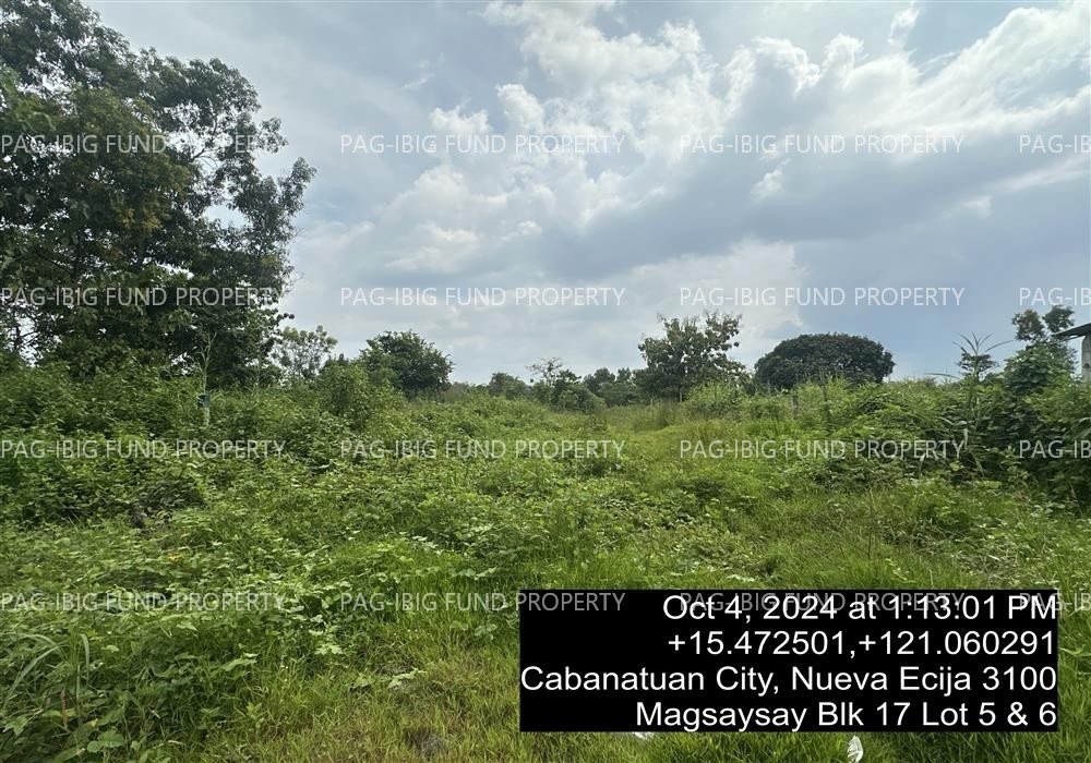 Image for Lot 5&6 Blk. 17 Magsaysay Village Kalikid Sur, Cabanatuan City, Nueva Ecija, 3100