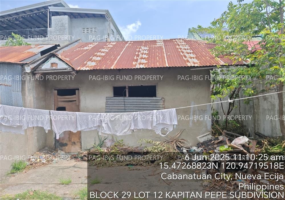 Image for Lot 12 Blk. 29-B Kapitan Pepe Subdivision San Josef Norte, Cabanatuan City, Nueva Ecija, 3100