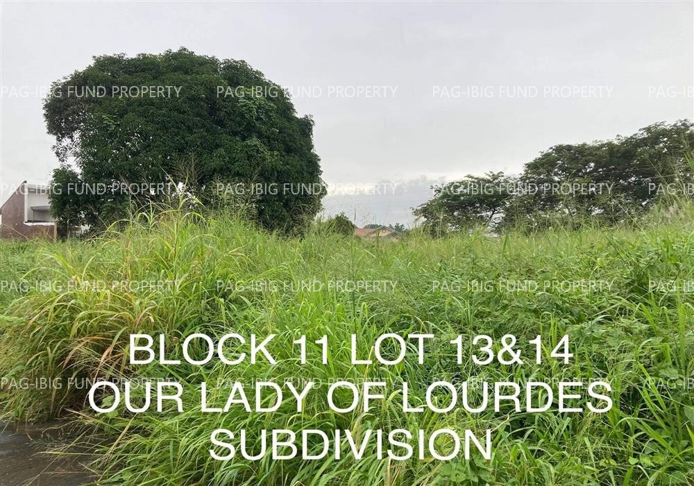 Image for Lot 14 Blk. 11 Our Lady of Lourdes Subdivision Munting Batangas (Cadre), Balanga City, Bataan, 2100