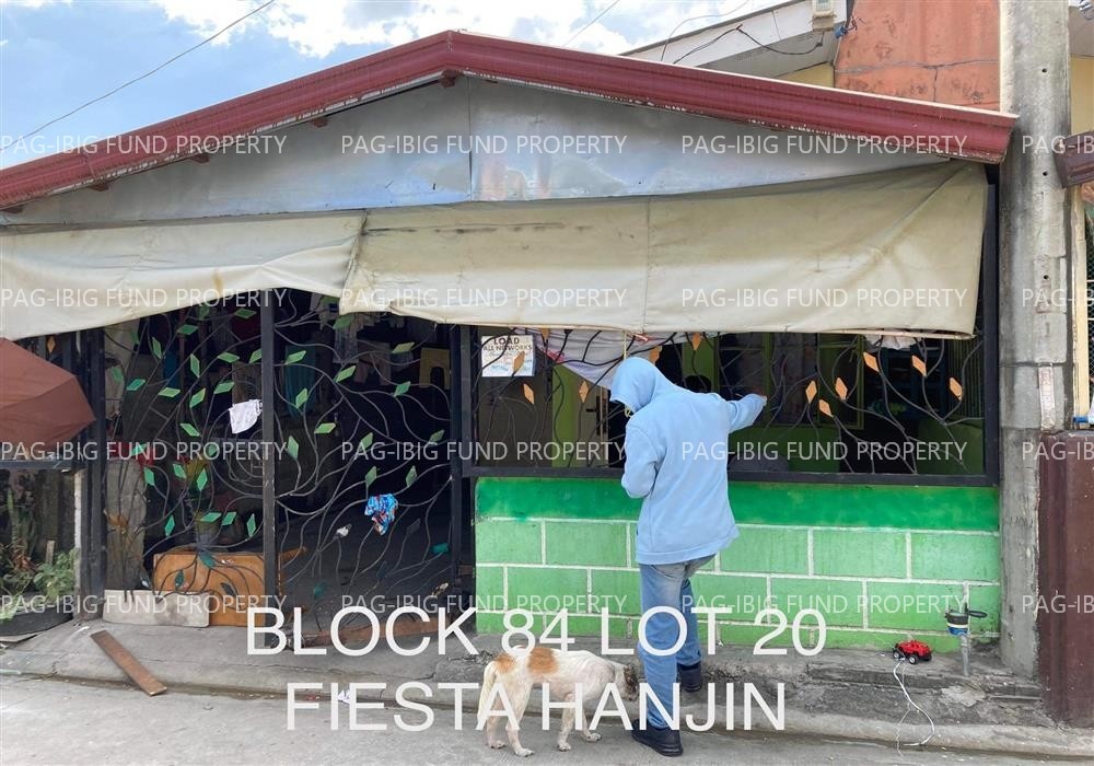 Image for Lot 20 Blk. 84 Fiesta-Hanjin Village N/a, Castillejos, Zambales, 0000