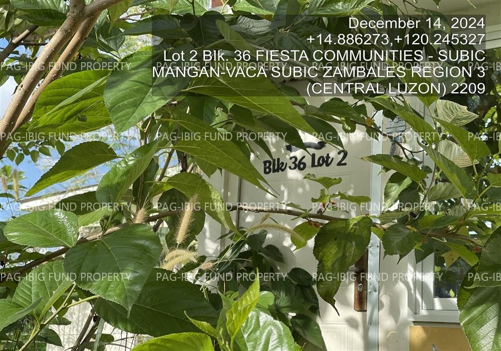 Image for Lot 2 Blk. 36 Fiesta Communities - Subic Mangan-Vaca, Subic, Zambales, 2209