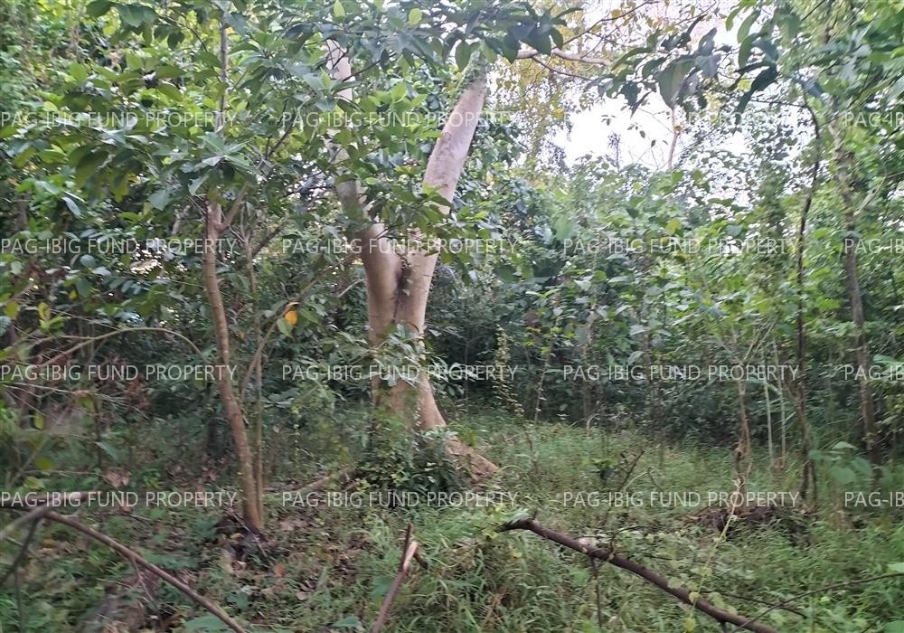 Image for Lot 3268 -D-2 Angay Compound Gulang-Gulang, Lucena City, Quezon, 4301