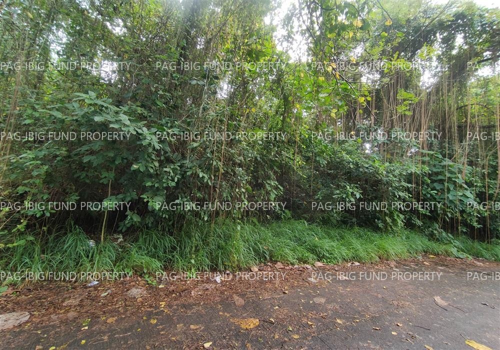 Image for Lot 5 Blk. 32 Phase 3 Krisanta Village Bukal, Pagbilao, Quezon, 4302