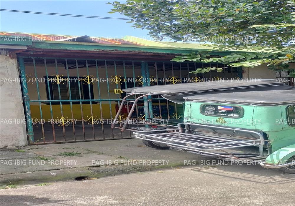 Image for Lot 46 Blk. 2 Phase 2 Lynville Homes Bagumbayan, Santa Cruz (Capital), Laguna, 4009