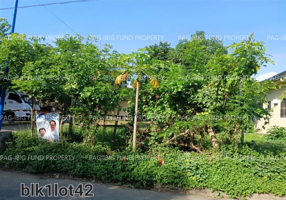 Image for Lot 42 Blk. 1 Nha-San Jose Low Cost Housing Proj. San Jose, San Pablo City, Laguna, 4000