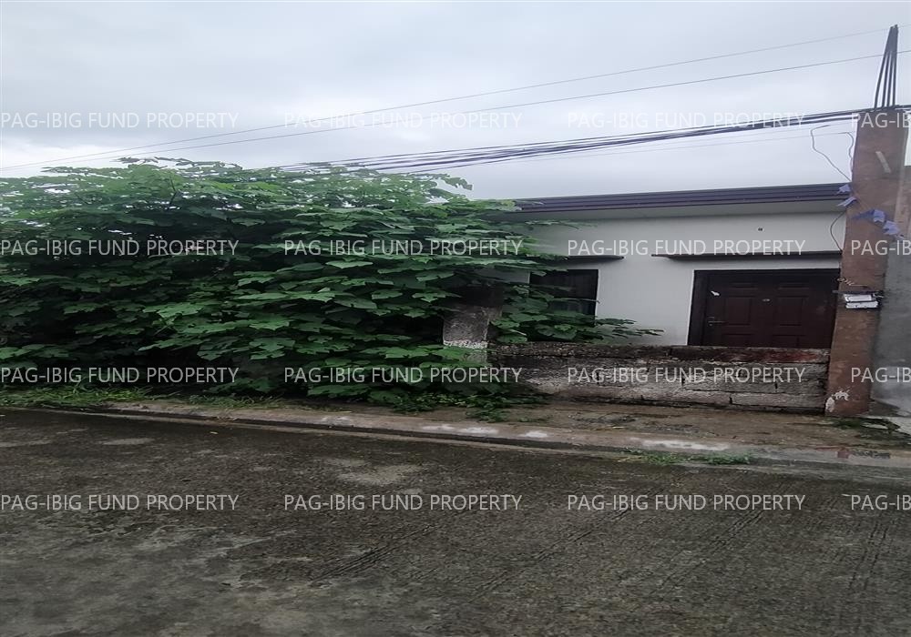 Image for Lot 14 Blk. 8 Mckinleyville Subdivision San Francisco, Victoria, Laguna, 4011