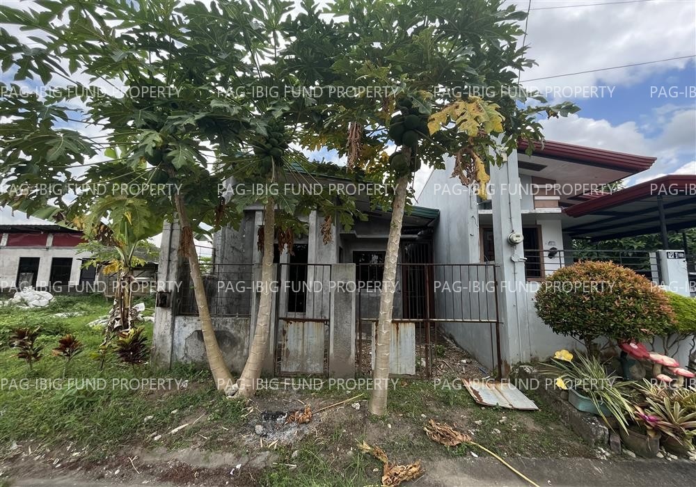 Image for Lot 8 Blk. 2 Mt View Subd Santo Angel, San Pablo City, Laguna, 4000