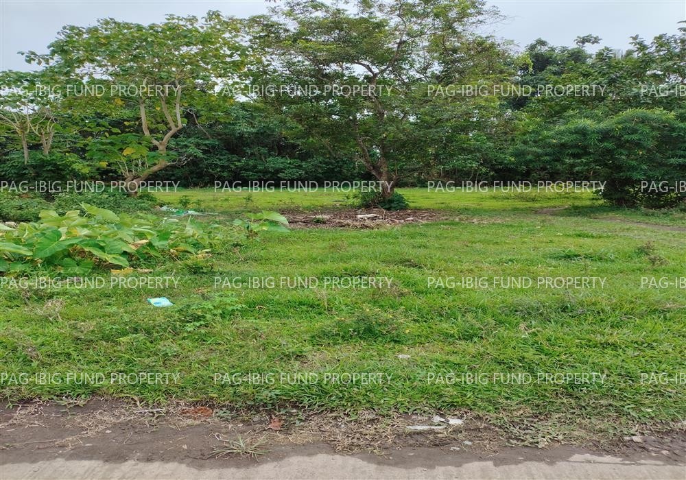 Image for Lot 73 Blk. 1 Non-Subdivision Biñan, Pagsanjan, Laguna, 4008