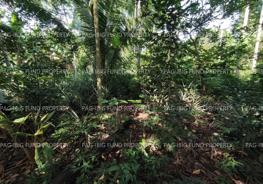 Image for Lot 15 Non-Subdivision San Jose, Puerto Princesa City, Palawan, 5300