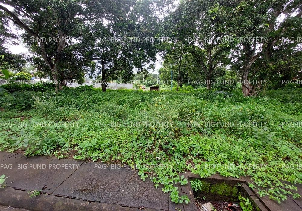 Image for Lot 25 Blk. 9 Phase 2 Marmaine Village II Pansol, Padre Garcia, Batangas, 4224