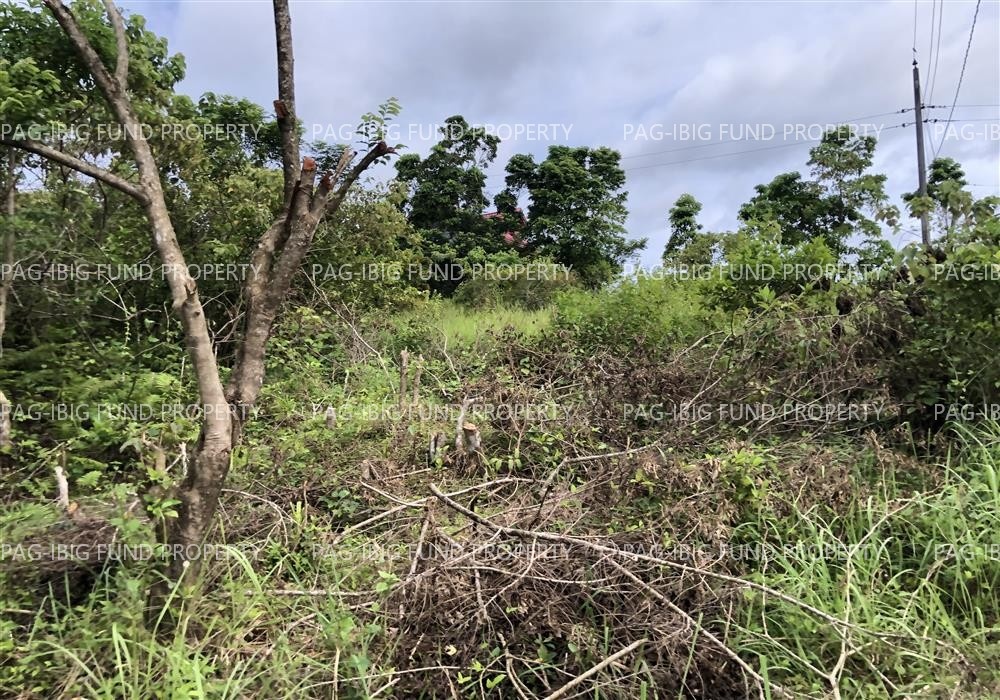 Image for Lot 11 Blk. 6 Archomes Subdivision Danlog, Pilar, Sorsogon, 4714