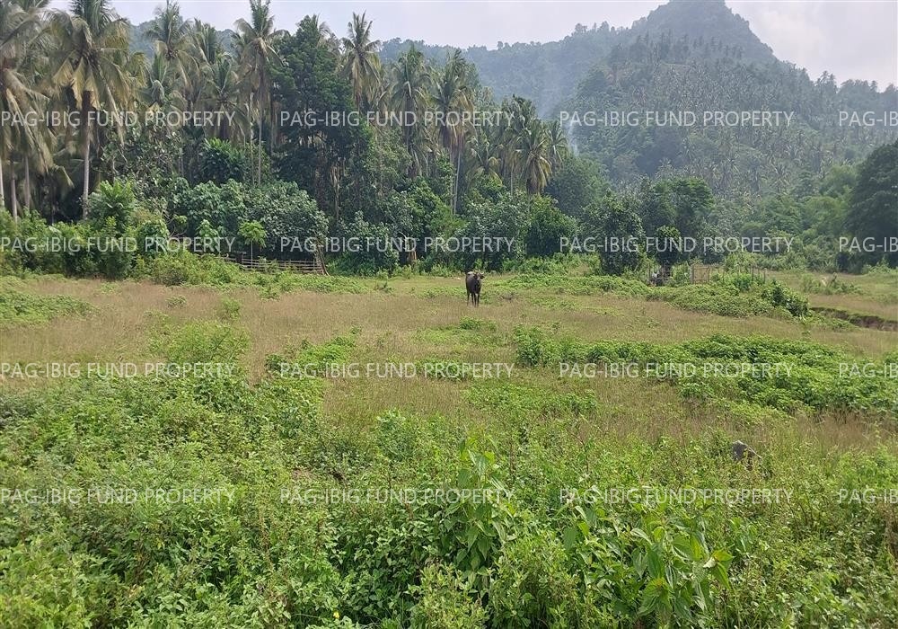 Image for Lot 25 Blk. 10 Phase Ponso Heights N/a Ponso, Polangui, Albay, 4506