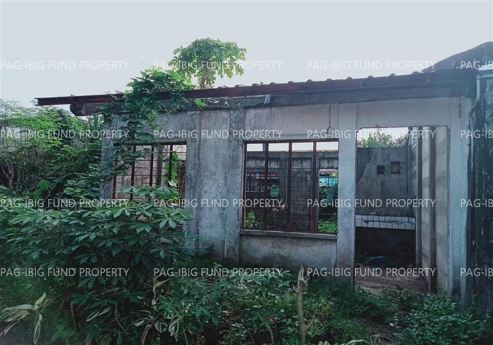 Image for Lot 2 Blk. 40 Rancho Imperial Subdivision-Polangui Kinale, Polangui, Albay, 4506