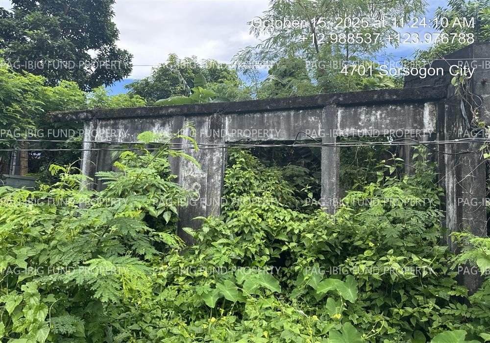 Image for Lot 8 Blk. 28 Imperial Ridgeview Subdivision Pangpang, Sorsogon City, Sorsogon, 4700