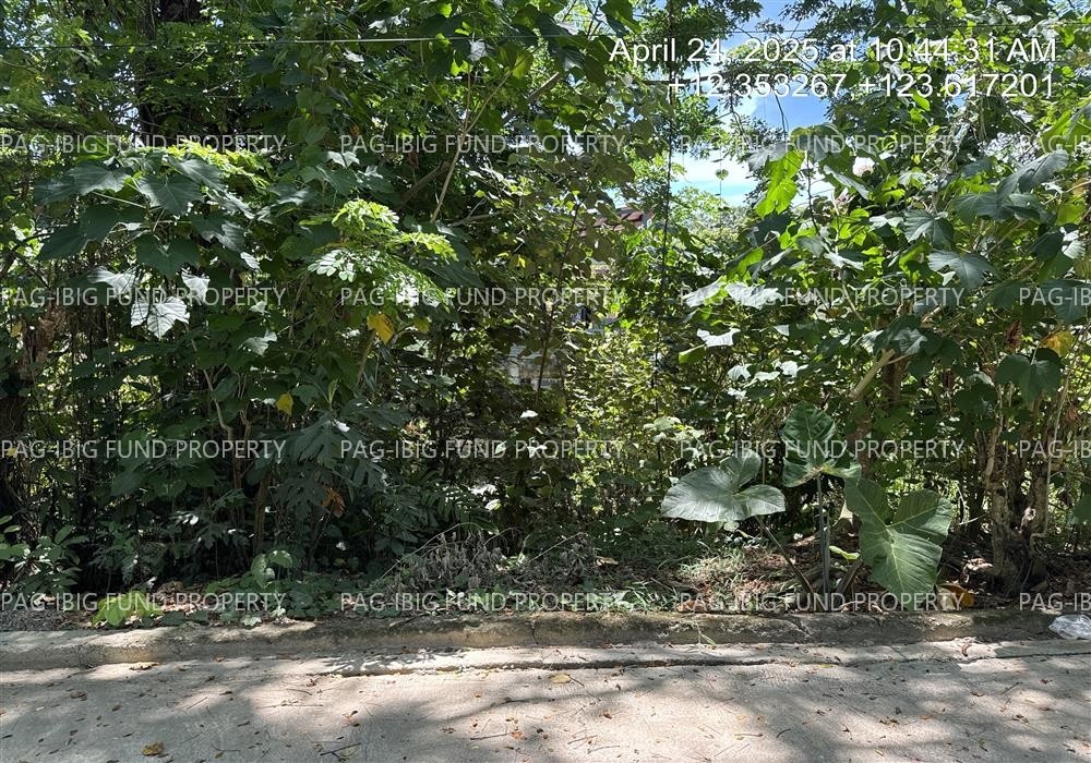 Image for Lot 21 Blk. 11 Our Lady of Lourdes Kinamaligan, Masbate City, Masbate, 5400