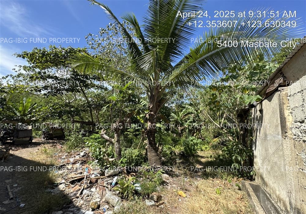 Image for Lot 1235-C-3-a Non-Subdivision Tugbo, Masbate City, Masbate, 5400