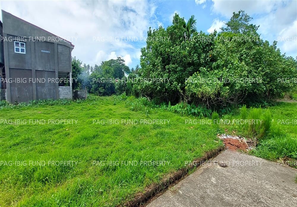 Image for Lot 11 Blk. 5 Red Palm Subdivision Pangpang, Sorsogon City, Sorsogon, 4700