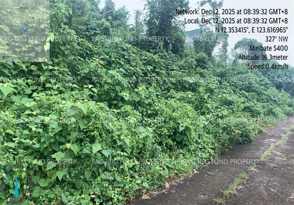 Image for Lot 7 Blk. 13 Our Lady of Lourdes Subdivision Kinamaligan, Masbate City, Masbate, 5400