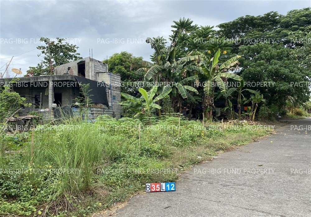 Image for Lot 12 Blk. 35 Rancho Imperial Subdivision - Polangui Kinale, Polangui, Albay, 4506