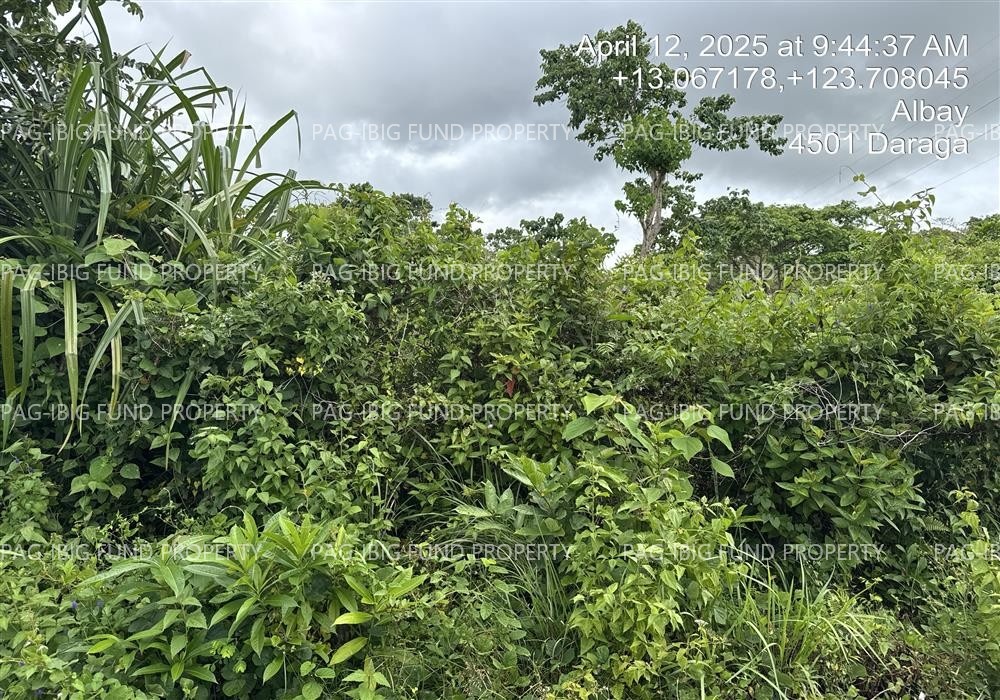 Image for Lot 13 Blk. 3 Gloria Dream Homes Anislag, Daraga (Locsin), Albay, 4501