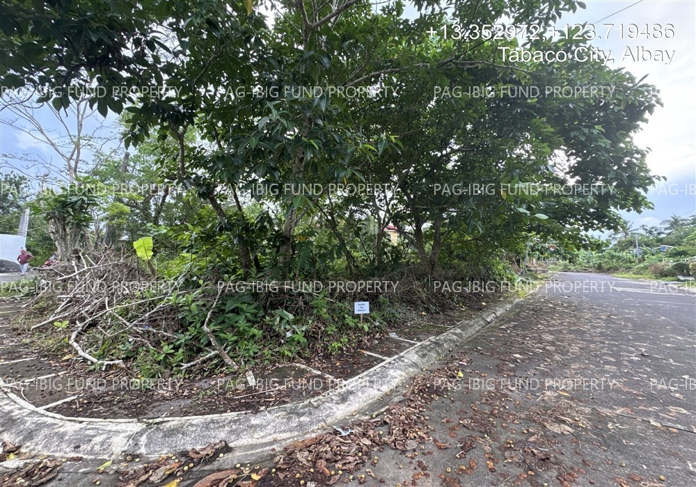 Image for Lot 1 Blk. 8 Jamaica Subdivision Panal, Tabaco City, Albay, 4511