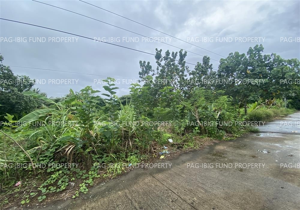 Image for Lot 13 Blk. 10 Ecology Subdivision Calangcawan Sur, Vinzons, Camarines Norte, 4603