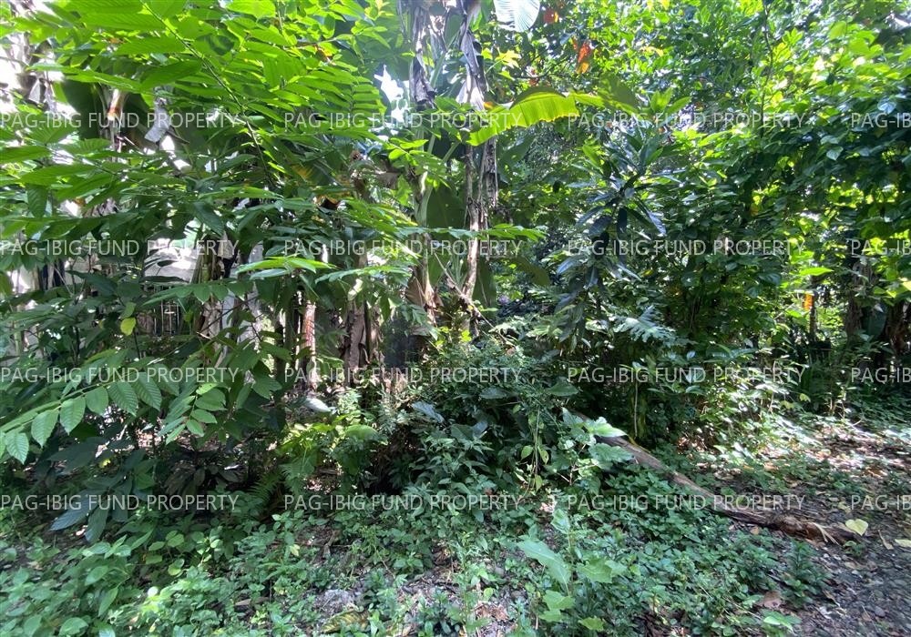 Image for Lot 865-I-6-E Non-Subdivision Masalong, Labo, Camarines Norte, 4604