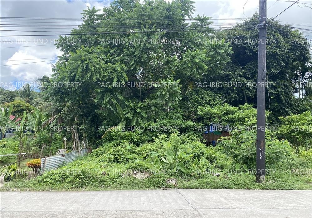 Image for Lot 3 Blk. 17 Phase I Holiday Homes Lag-on, Daet (Capital), Camarines Norte, 4600