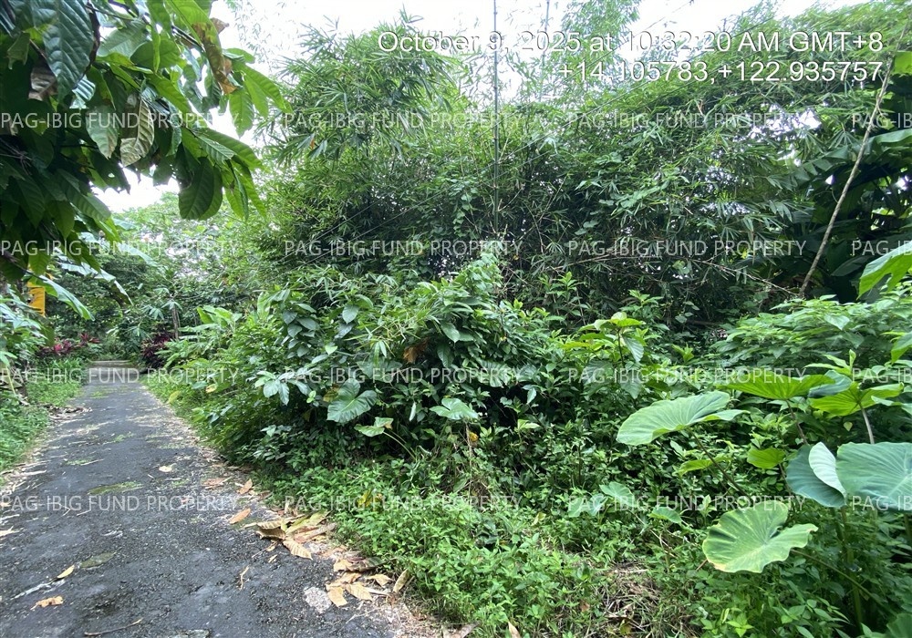 Image for Lot 22 Blk. 20 Holiday Homes II Lag-on, Daet (Capital), Camarines Norte, 4600