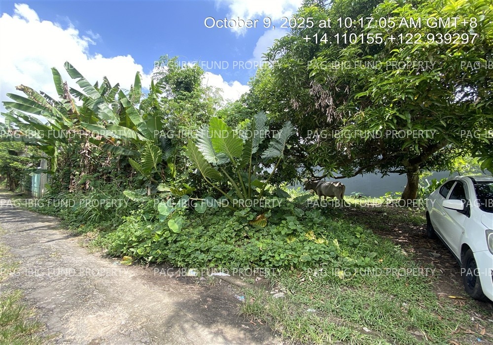 Image for Lot 14 Blk. 15 Holiday Homes I Lag-on, Daet (Capital), Camarines Norte, 4600