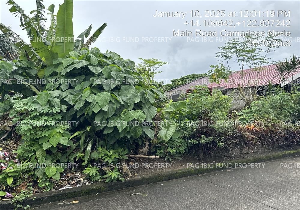 Image for Lot 20 Blk. 9 Holiday Homes II LAG-ON, Daet (capital), Camarines Norte, 4600