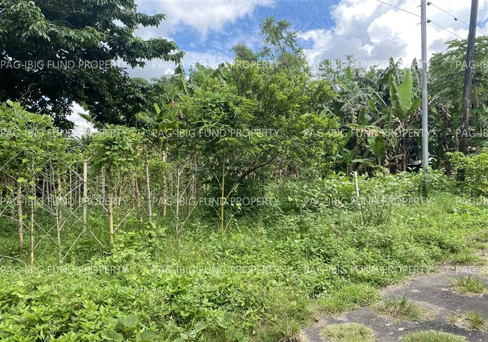 Image for Lot 15 Blk. 19 Holiday Homes II Lag-on, Daet (Capital), Camarines Norte, 4600