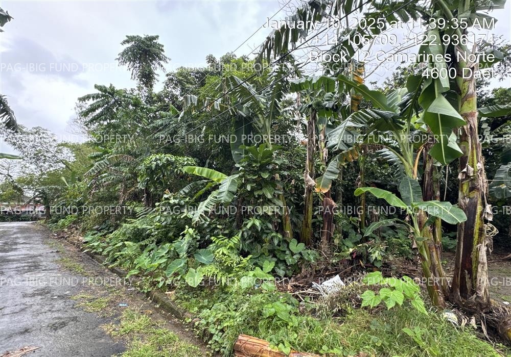 Image for Lot 26 Blk. 21 Phase II Holiday Homes Lag-on, Daet (Capital), Camarines Norte, 4600