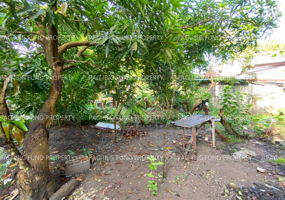 Image for Lot 6,7&8 Blk. 35 Villa Karangahan Subd San Felipe, Naga City, Camarines Sur, 4400