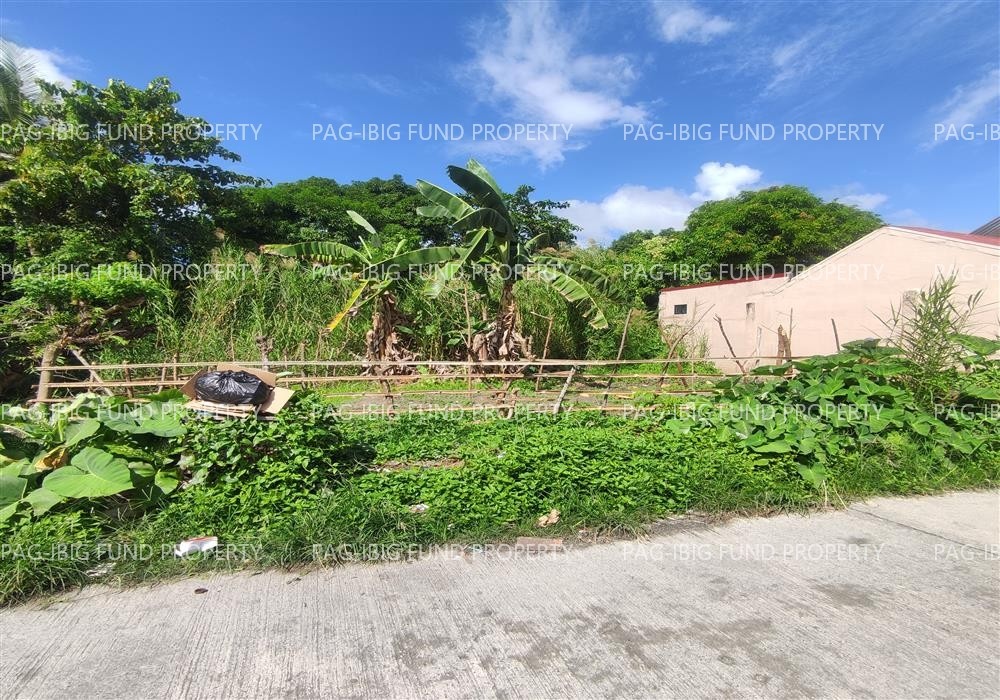 Image for Lot 2-K-9-a Non Subdivision Tawiran, Calapan City, Oriental Mindoro, 5200