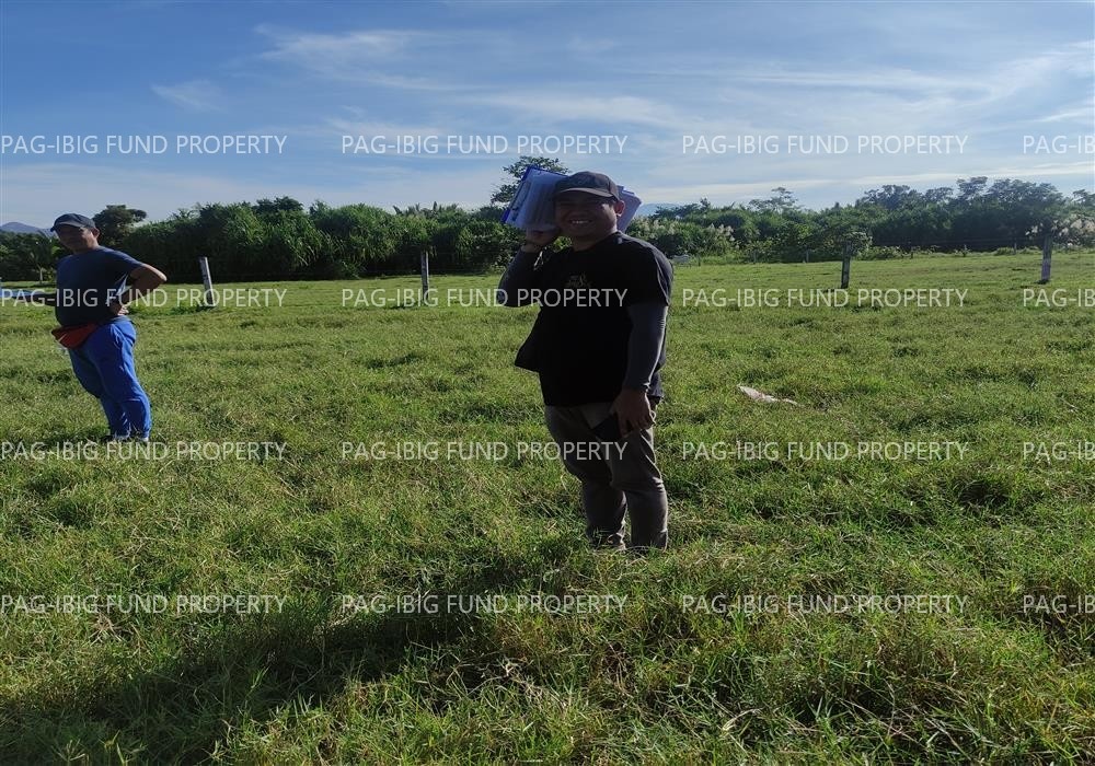 Image for Lot 28 Blk. 2 Dona Rosario Heights Payompon, Mamburao (Capital), Occidental Mindoro, 5106