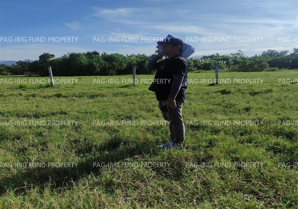 Image for Lot 27 Blk. 2 Dona Rosario Heights Payompon, Mamburao (Capital), Occidental Mindoro, 5106