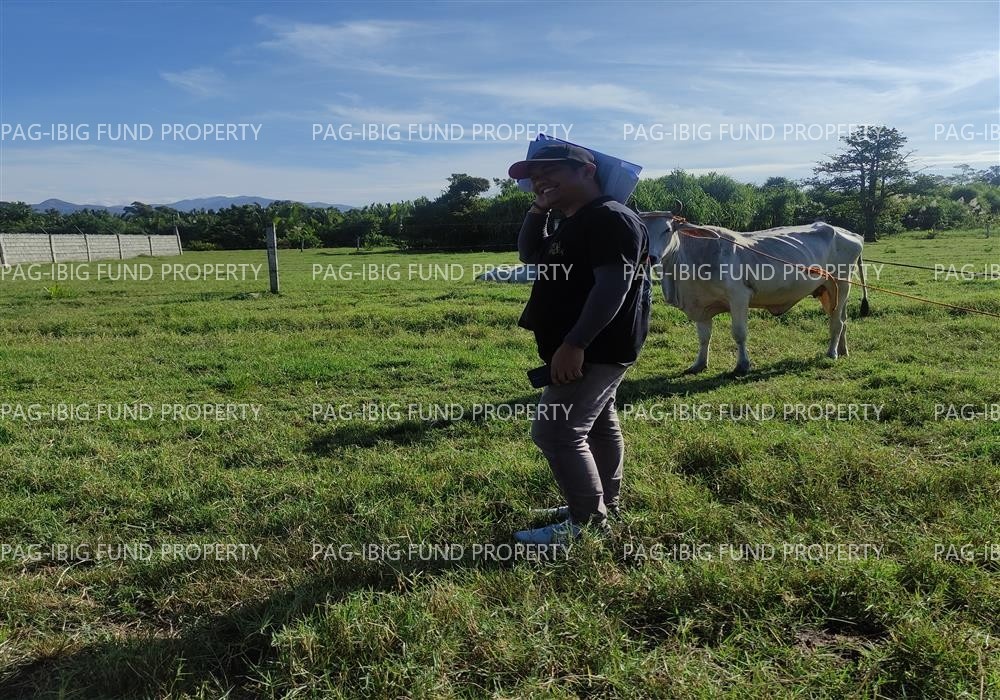 Image for Lot 21 Blk. 2 Dona Rosario Heights Payompon, Mamburao (Capital), Occidental Mindoro, 5106