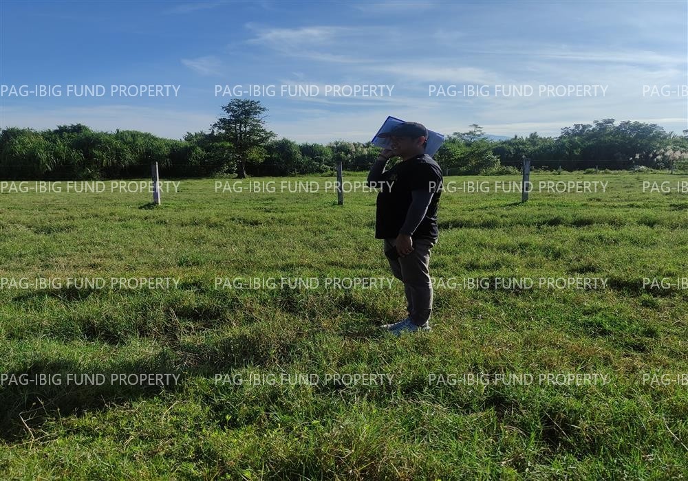 Image for Lot 31 Blk. 2 Dona Rosario Heights Payompon, Mamburao (Capital), Occidental Mindoro, 5106