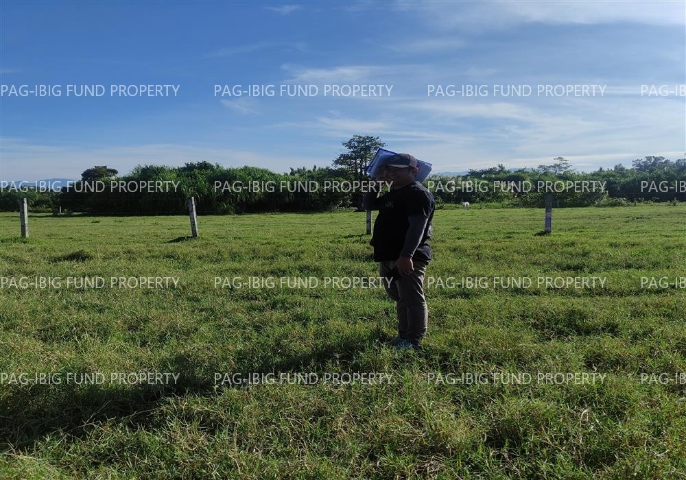 Image for Lot 29 Blk. 2 Dona Rosario Heights Payompon, Mamburao (Capital), Occidental Mindoro, 5106