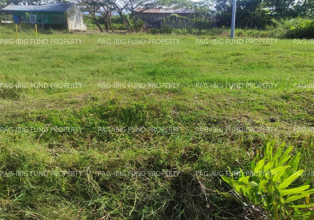 Image for Lot 20 Blk. 7 Dona Rosario Heights Payompon, Mamburao (Capital), Occidental Mindoro, 5106