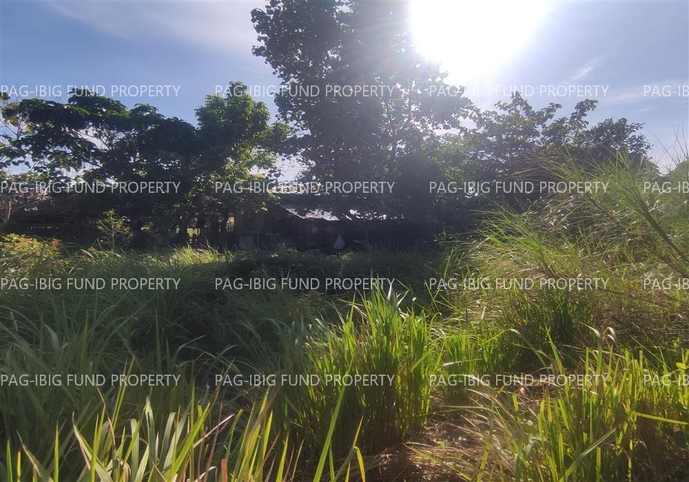Image for Lot 24 Blk. 5 Dona Rosario Heights Payompon, Mamburao (Capital), Occidental Mindoro, 5106
