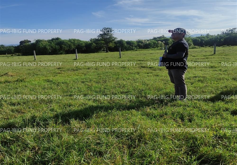 Image for Lot 34 Blk. 2 Dona Rosario Heights Payompon, Mamburao (Capital), Occidental Mindoro, 5106