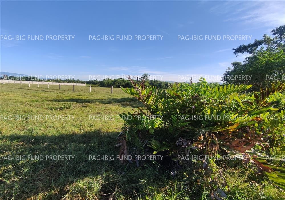 Image for Lot 39 Blk. 2 Dona Rosario Heights Payompon, Mamburao (Capital), Occidental Mindoro, 5106