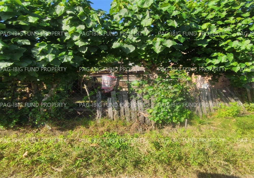 Image for Lot 21 Blk. 5 Dona Rosario Heights Payompon, Mamburao (Capital), Occidental Mindoro, 5106