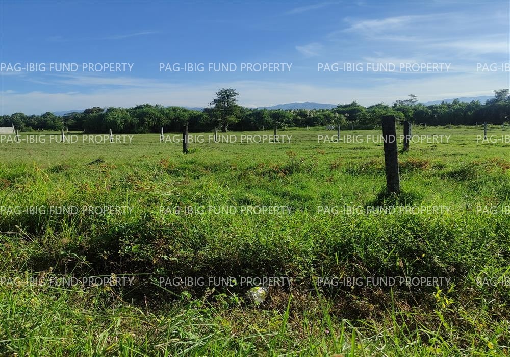 Image for Lot 38 Blk. 2 Dona Rosario Heights Payompon, Mamburao (Capital), Occidental Mindoro, 5106