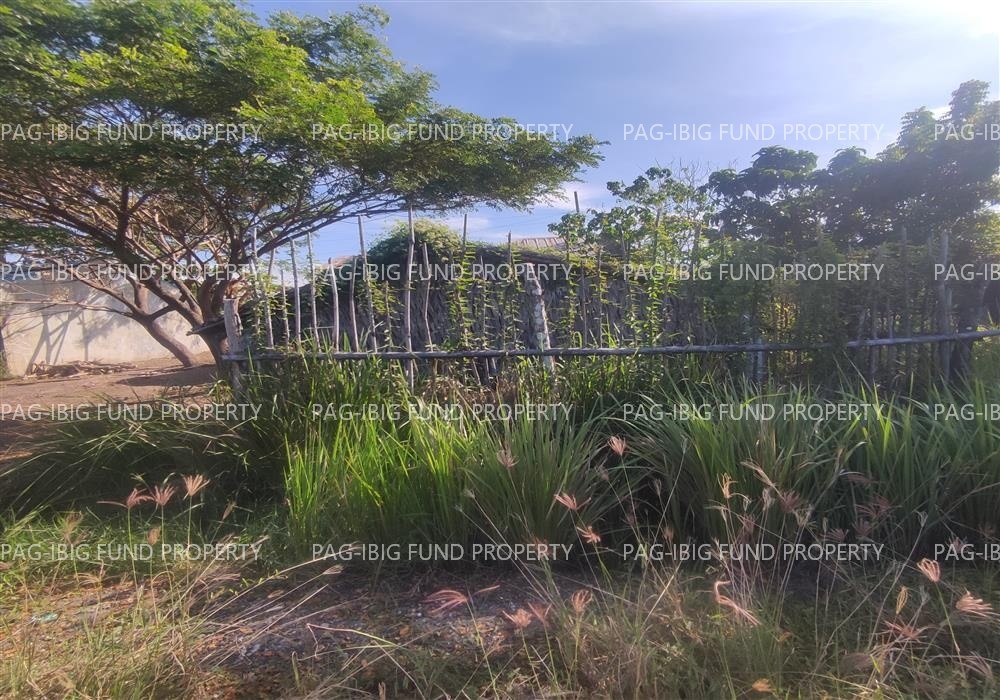 Image for Lot 20 Blk. 5 Dona Rosario Heights Payompon, Mamburao (Capital), Occidental Mindoro, 5106