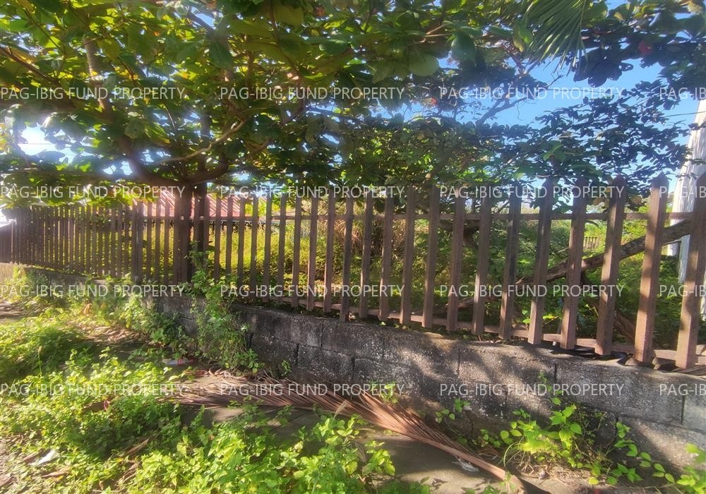 Image for Lot 29 Blk. 5 Dona Rosario Heights Payompon, Mamburao (Capital), Occidental Mindoro, 5106